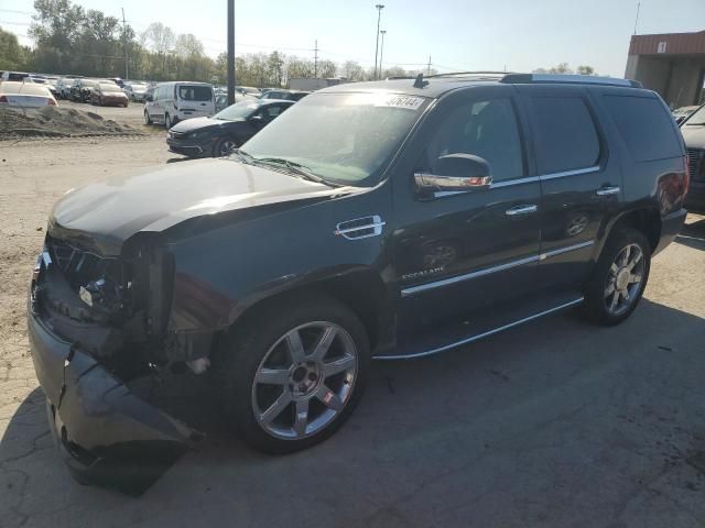 2011 Cadillac Escalade Luxury