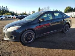 Salvage cars for sale from Copart Bowmanville, ON: 2013 Ford Focus SE