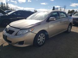 Toyota Vehiculos salvage en venta: 2010 Toyota Corolla Base