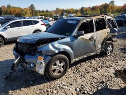 Ford Escape salvage cars for sale: 2011 Ford Escape XLT