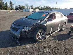 Toyota Corolla salvage cars for sale: 2009 Toyota Corolla Base