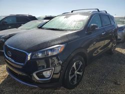 KIA Sorento salvage cars for sale: 2018 KIA Sorento EX