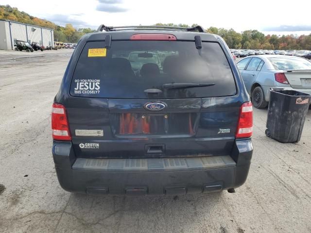 2011 Ford Escape XLT