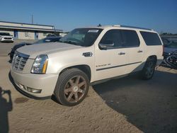 Cadillac Escalade salvage cars for sale: 2008 Cadillac Escalade ESV