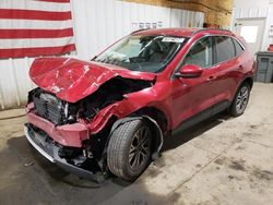 Ford salvage cars for sale: 2021 Ford Escape SEL