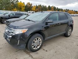 Ford salvage cars for sale: 2013 Ford Edge SEL