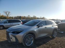 Lexus salvage cars for sale: 2022 Lexus NX 350