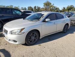 Nissan Maxima salvage cars for sale: 2012 Nissan Maxima S