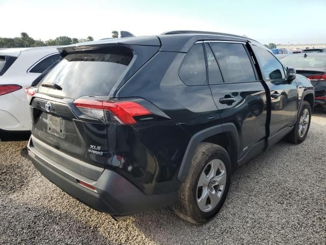 2020 Toyota Rav4 XLE