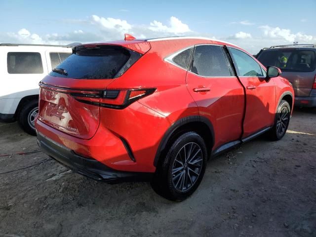 2024 Lexus NX 250 Premium