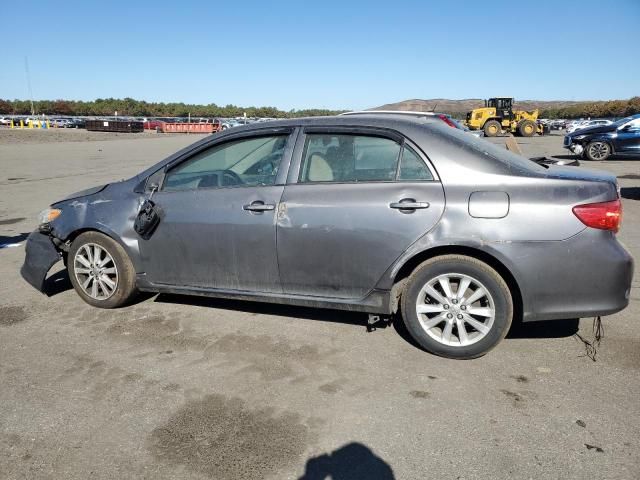 2009 Toyota Corolla Base