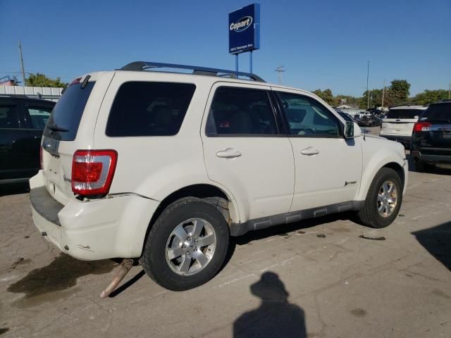 2010 Ford Escape Hybrid