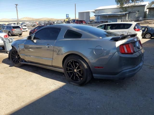 2010 Ford Mustang