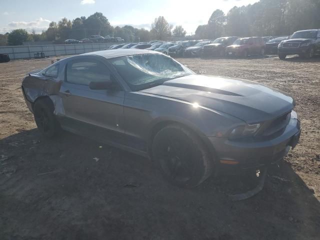 2010 Ford Mustang