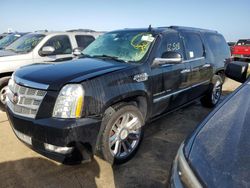 Cadillac salvage cars for sale: 2013 Cadillac Escalade ESV Platinum