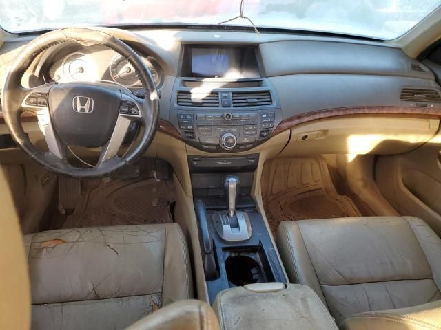 2010 Honda Accord EXL