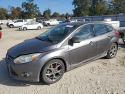 Ford Focus salvage cars for sale: 2014 Ford Focus SE