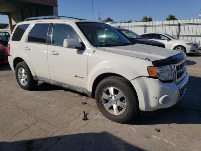 2010 Ford Escape Hybrid