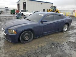 Dodge Charger salvage cars for sale: 2013 Dodge Charger SXT