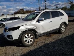 KIA Sorento salvage cars for sale: 2011 KIA Sorento Base