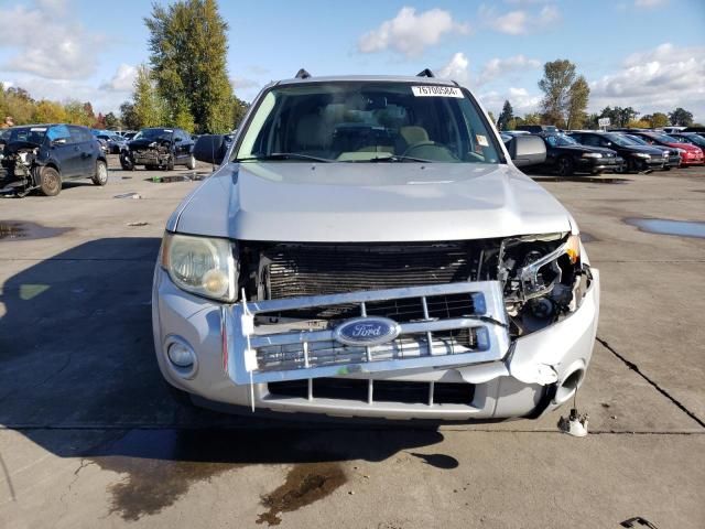 2008 Ford Escape XLT