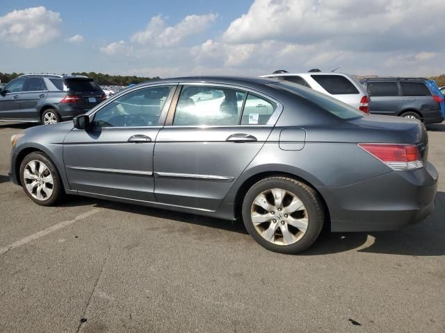 2010 Honda Accord EXL