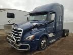 2019 Freightliner Cascadia 126