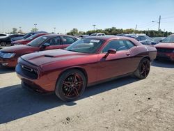 Dodge Challenger salvage cars for sale: 2021 Dodge Challenger SXT