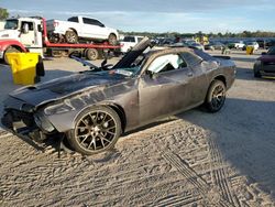 Dodge Challenger salvage cars for sale: 2022 Dodge Challenger R/T Scat Pack