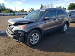 Salvage cars for sale from Copart Bowmanville, ON: 2010 Honda CR-V EX