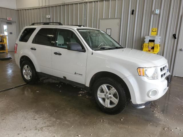 2011 Ford Escape Hybrid