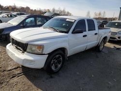 Dodge Vehiculos salvage en venta: 2008 Dodge Dakota Quattro