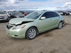 Toyota Camry salvage cars for sale: 2009 Toyota Camry Hybrid