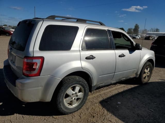 2011 Ford Escape XLT