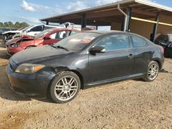 Scion salvage cars for sale: 2007 Scion TC