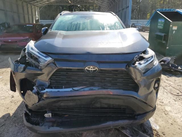 2024 Toyota Rav4 XLE Premium