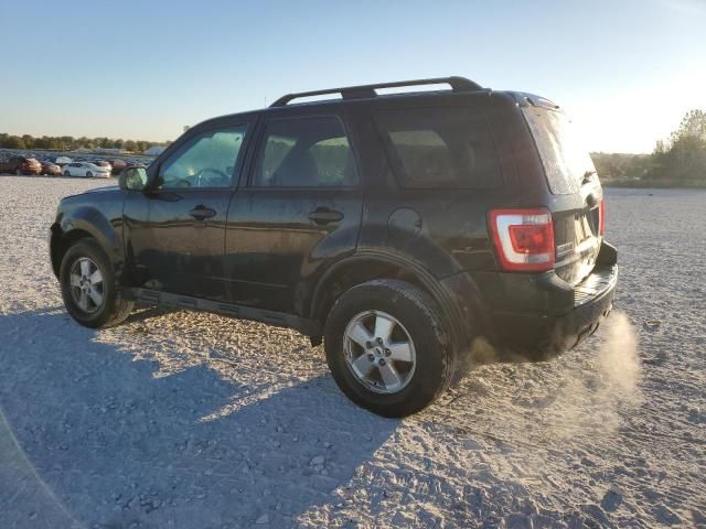 2012 Ford Escape XLT