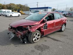 Ford Focus salvage cars for sale: 2014 Ford Focus SE