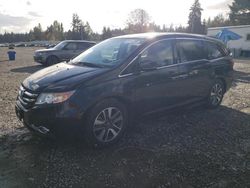 Honda Odyssey salvage cars for sale: 2015 Honda Odyssey Touring