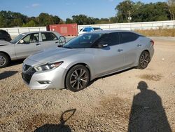 Nissan Maxima salvage cars for sale: 2017 Nissan Maxima 3.5S