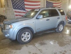 Ford Escape salvage cars for sale: 2008 Ford Escape HEV