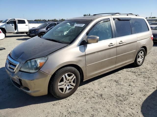 2005 Honda Odyssey EXL