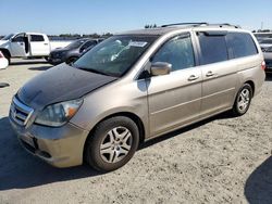 Honda Odyssey exl salvage cars for sale: 2005 Honda Odyssey EXL