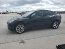 Tesla salvage cars for sale: 2023 Tesla Model Y