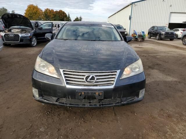 2010 Lexus ES 350