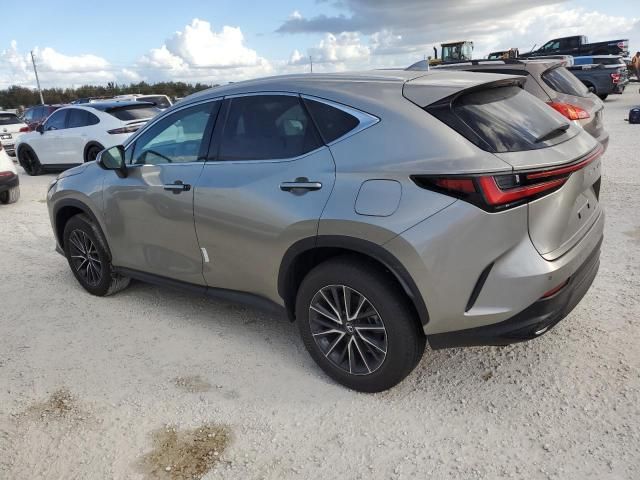 2024 Lexus NX 250 Premium