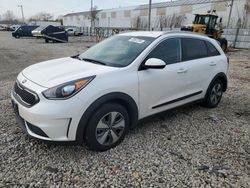 KIA Niro salvage cars for sale: 2019 KIA Niro FE