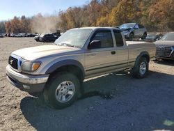 Toyota Tacoma salvage cars for sale: 2003 Toyota Tacoma Xtracab