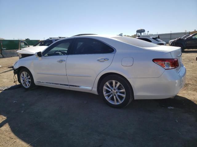 2010 Lexus ES 350