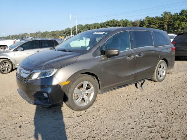 2019 Honda Odyssey EXL